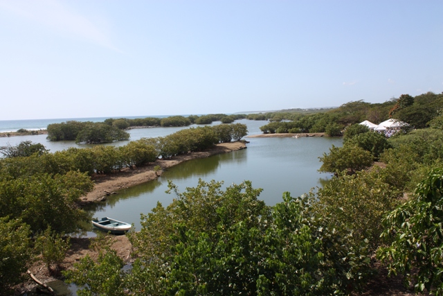 MINISTERIOS CELEBRAN DÍA MUNDIAL HUMEDALES