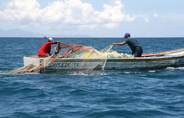 PROHÍBEN CAPTURA DIFERENTES MOLUSCOS MARINOS