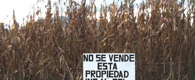 NIEGAN VENTA SOLARES BIENES NACIONALES MONTELLANO