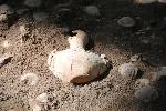 FUNDACIÓN PROYECTO TURÍSTICO FINANCIA EXCAVACIÓN ARQUEOLÓGICA RIO SAN JUAN
