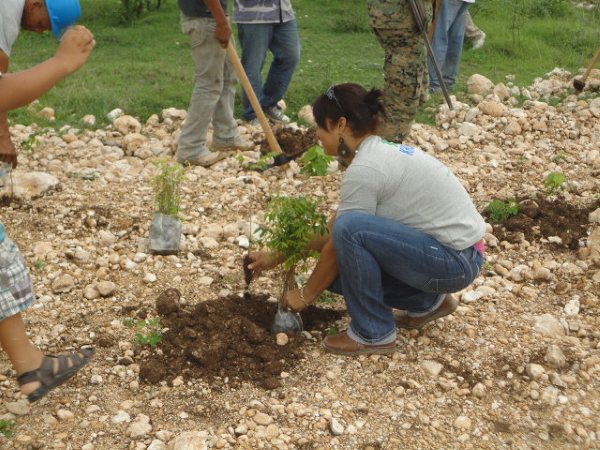 ESTUDIANTES REFORESTAN ENTORNO ESCUELA HABITACIONAL MONTEMAR