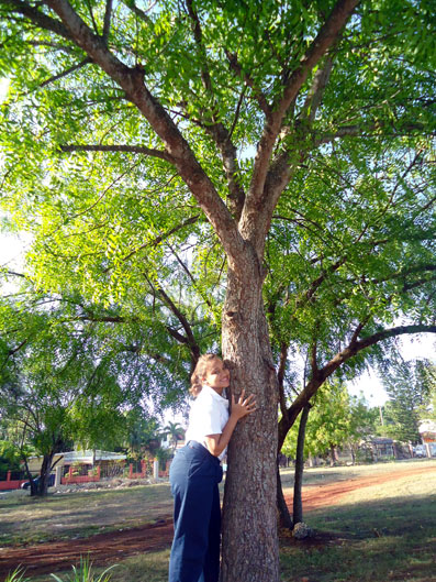 MEDIO AMBIENTE CELEBRA DÍA MUNDIAL ÁRBOL EN PUERTO PLATA