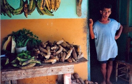 BAJAN VENTAS MERCADO MUNICIPAL