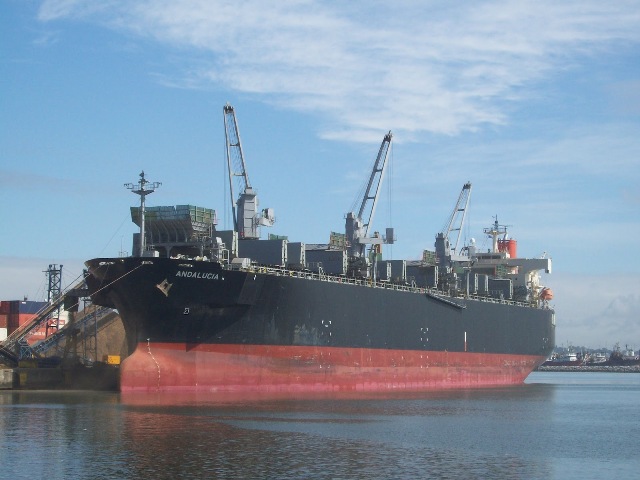 DESTACAN INCREMENTO FLUJO BUQUES CARGUEROS AL MUELLE DE PUERTO PLATA