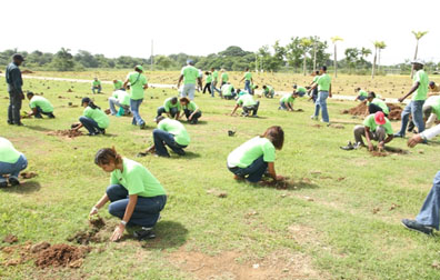 Inician Jornada Reforestación “Plan Quisqueya Verde”