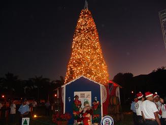 Encenderán arbolito navideño rotonda estadio José Briceño