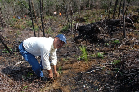 Medio Ambiente Planta Alrededor Dos Millones Árboles