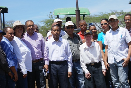 Inician Siembra Tabaco Comunidades Montecristi