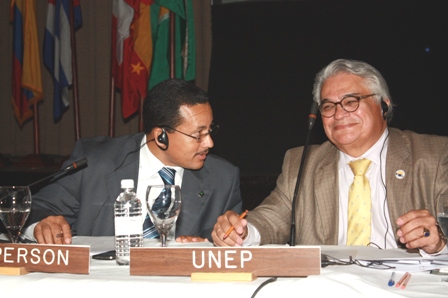  Naciones Unidas Reconoce Protección Reciben Mamíferos Marinos