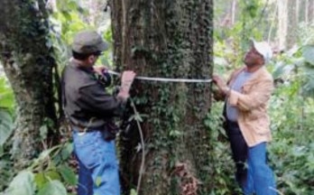 Explotación Loma Miranda Provocará Daño Ambiental  