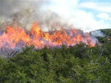 Capacitarán Dominicanos Prevención, Manejo Incendios Forestales
