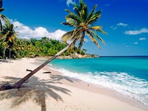 Hotel Gran Paradise participa limpieza playa Samaná