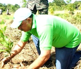 Llaman Dominicanos Apoyar Jornadas Reforestación  