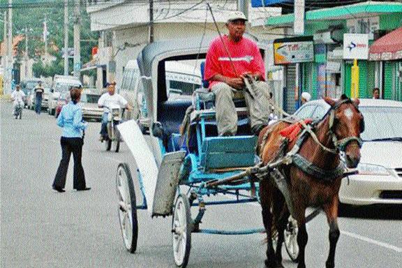 Controlarán cocheros ofrecen servicios transporte turístico en Santiago