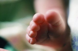 Muere niña en Los Caños de Maimón al caerle un palo encima