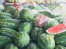 Agricultores de Imbert claman por asistencia e incentivos por parte del Gobierno