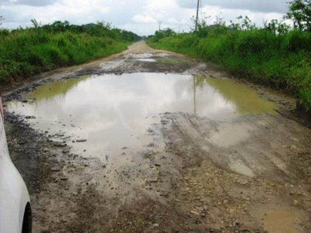Ex Alcalde de Guananico deplora abandono de los productores agropecuarios