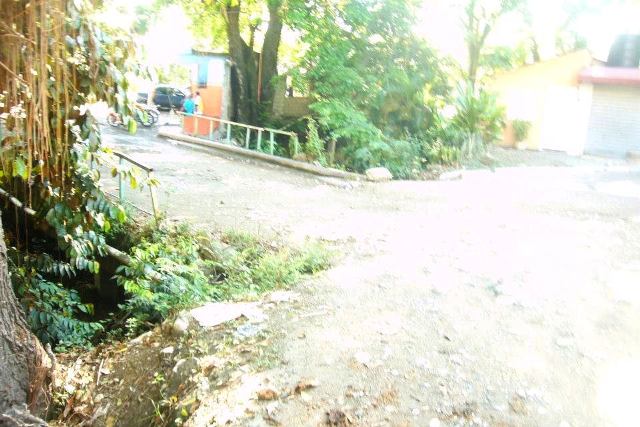 Denuncian que puente del sector Los Bordas es un peligro público