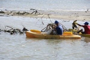 Sectores unen voluntades para salvar los manglares de Luperón