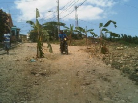 En Vista Hermosa siembran matas de plátanos en vía; exigen arreglo de calles
