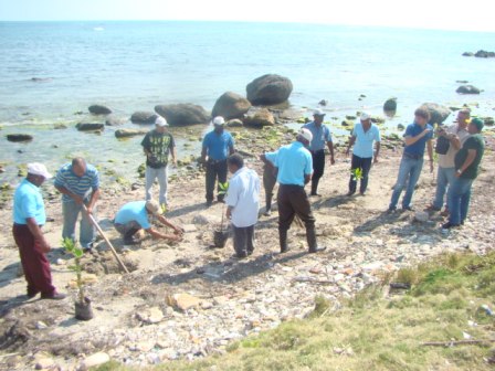 Medio Ambiente y otras instituciones en PP celebran Día Mundial Forestal