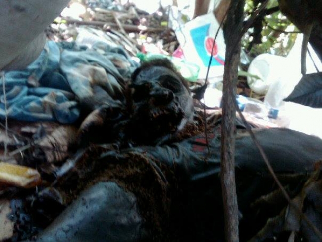 Hallan cadáver de un hombre casi momificado próximo al puente seco de PP