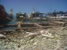 Viejo muelle de PP se encuentra en condiciones de abandono y peligro