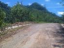 Convocan protesta pacífica en Rio Grande de Altamira exigiendo reconstrucción carretera