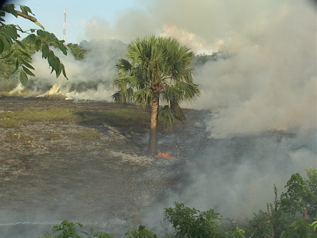 Incendio forestal arrasa con varios acres de terreno en una finca privada de San Marcos