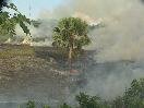 Incendio forestal arrasa con varios acres de terreno en una finca privada de San Marcos