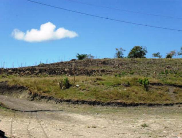 Campesinos sin tierra de Imbert invaden predios baldíos del CEA