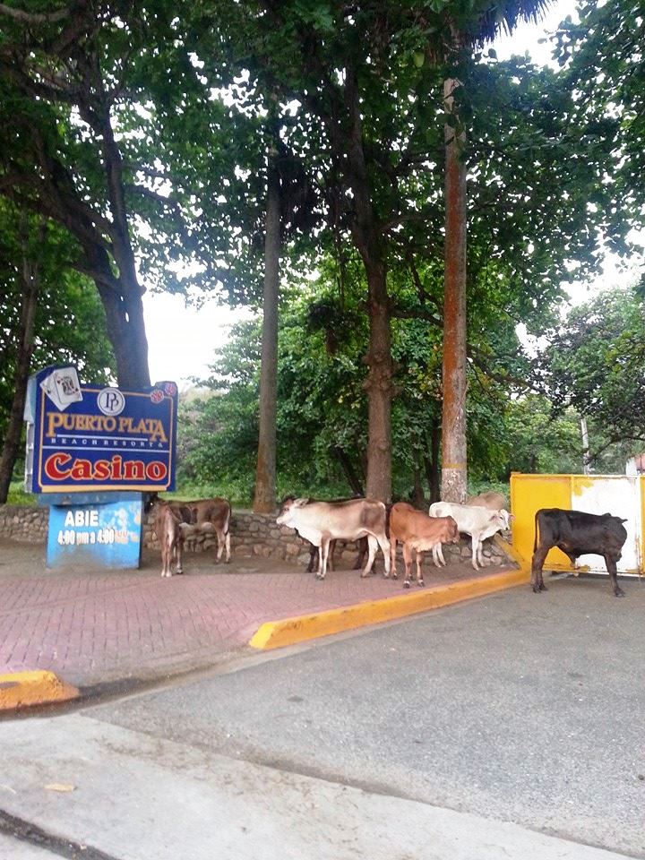 FOTONOTICIA