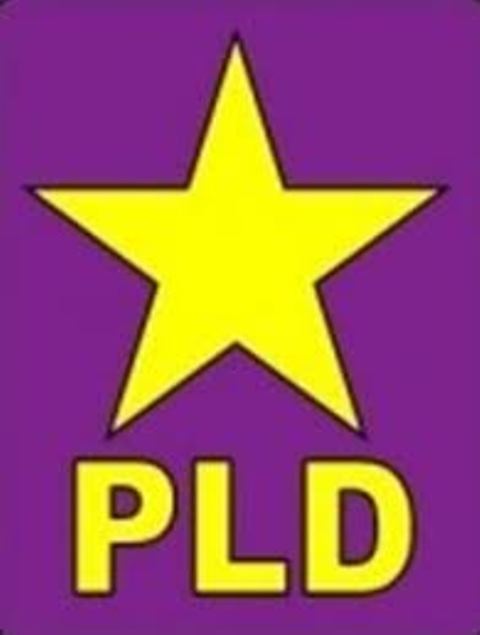 Hermanos Juan y Jhonny Medina se lanzan como precandidatos a diputados por el PLD en Puerto Plata