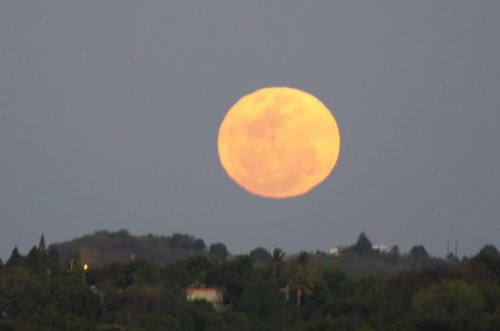 Fenómeno “Superluna” podrá verse esta noche en Puerto Plata y otros pueblos de la RD