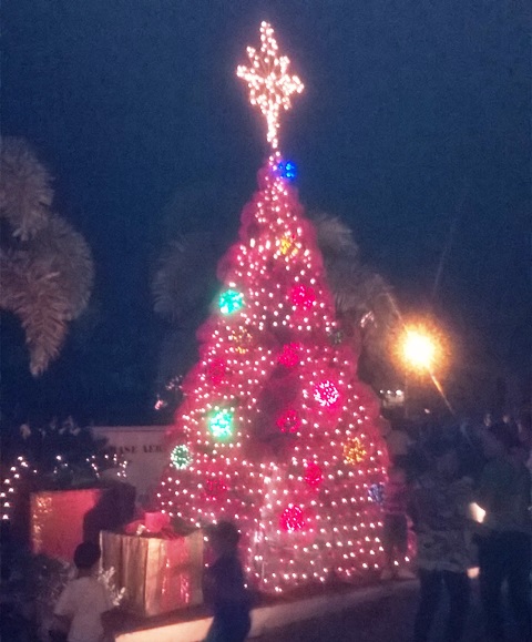 Encienden arbolito navideño en la Base Aérea de Puerto Plata con espectáculo musical y de fuegos artificiales
