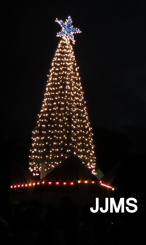 Con gran colorido, espectáculo infantil, autoridades y fuegos artificiales encienden árbol de Navidad en Puerto Plata