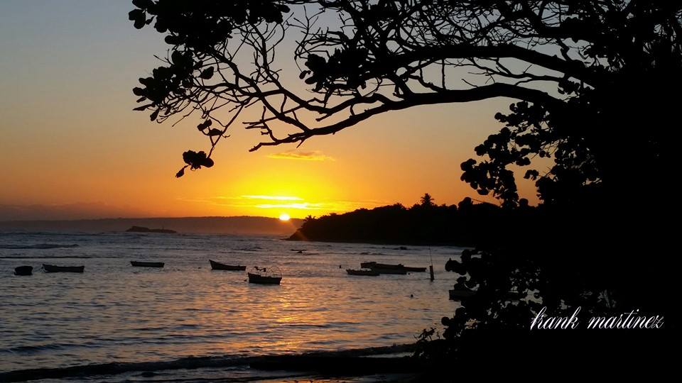 Pronostican condiciones óptimas para realizar actividades al aire libre durante el Fin de Año y Año Nuevo