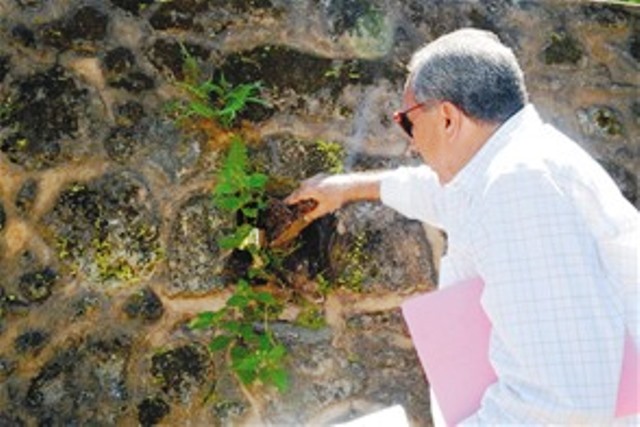 Hallan fortines y murallas en la zona de La Puntilla fueron construidos y reparados por Gregorio Luperón