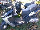 Muere joven  al ser arrollado por auto, hieren a balazos hombre para quitarle passola
