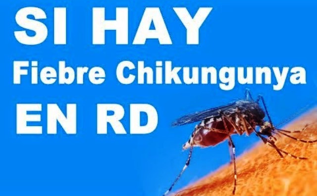 Se registran casos del virus Chikungunya en Puerto Plata, población muestra temor