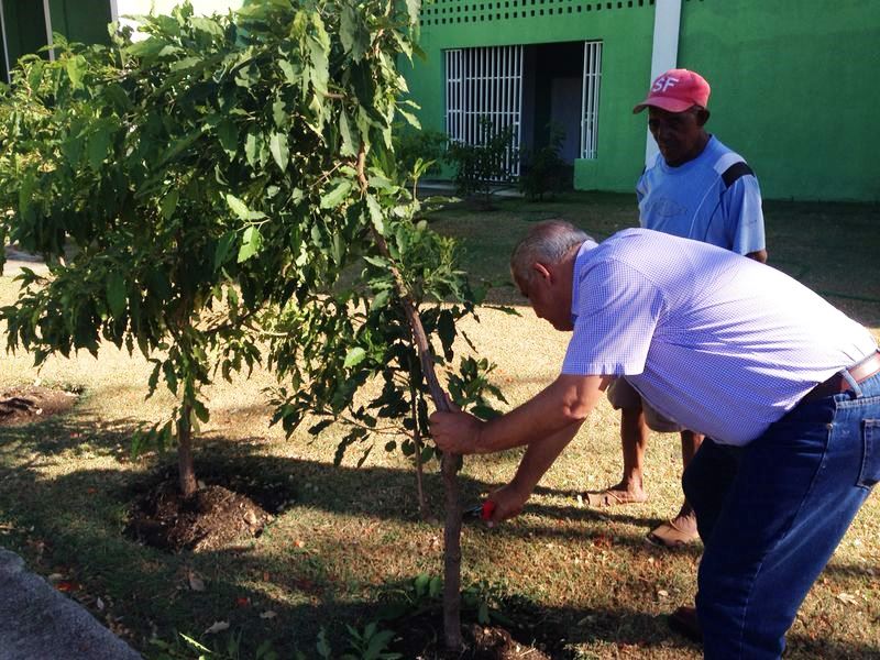 Ministro de Deportes y director Medio Ambiente de PP supervisan arboles sembrados en entornos deportivos