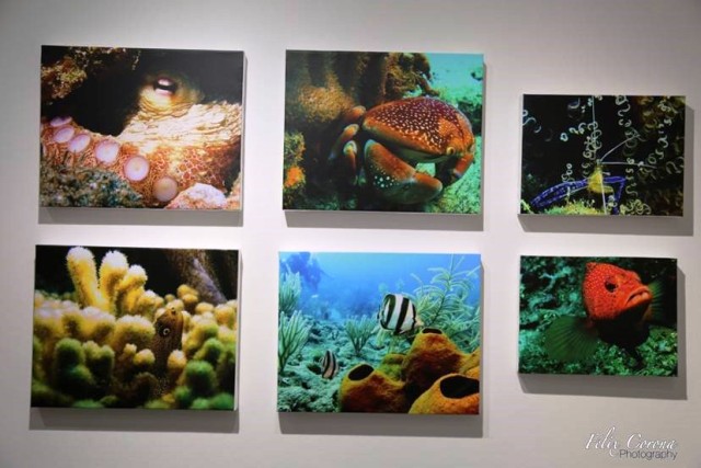 Casa de Arte Sosúa presenta exposición “Sosúa Vivo” por Bill Passmore	
