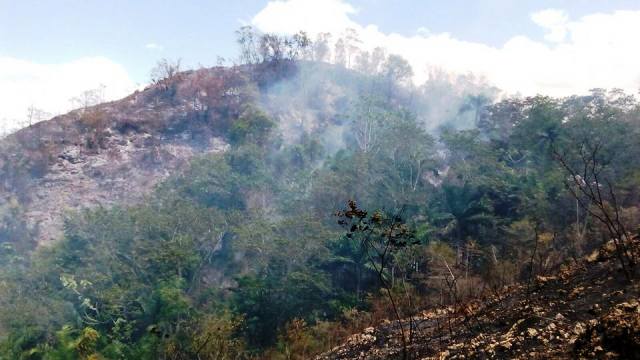 Siguen registrándose incendios forestales en la provincia de Puerto  Plata, arden nuevamente lomas de Sosúa