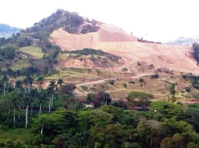 Sigue la depredación de recursos naturales en Puerto Plata, denuncian tala de árboles maderables en Guananico