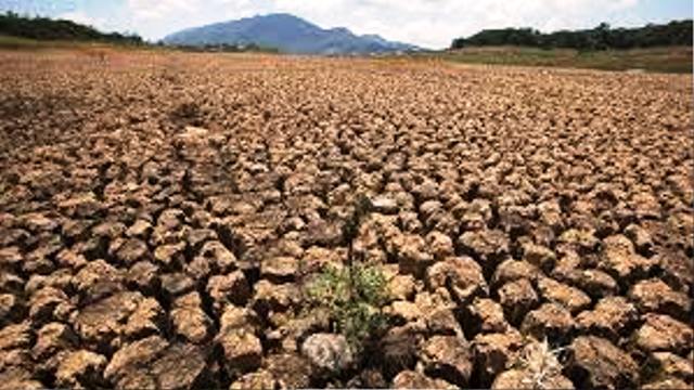 Apuntan daños causados por la sequía a cultivos agrícolas y a la ganadería en la región del Cibao