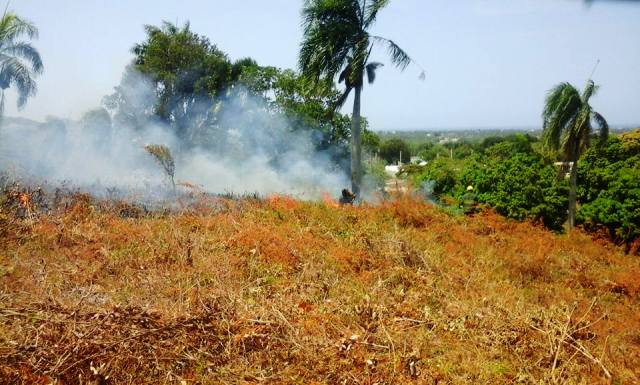 Debido a la fuerte sequía los incendios forestales están a la orden del día en Puerto Plata