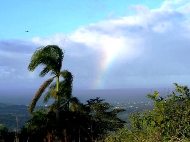 Meteorología advierte que sistema frontal dejara lluvias sobre el país en las próximas horas
