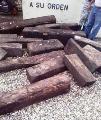 Apresan en Imbert un camión repleto de madera preciosa sin tener permiso para transportar la misma