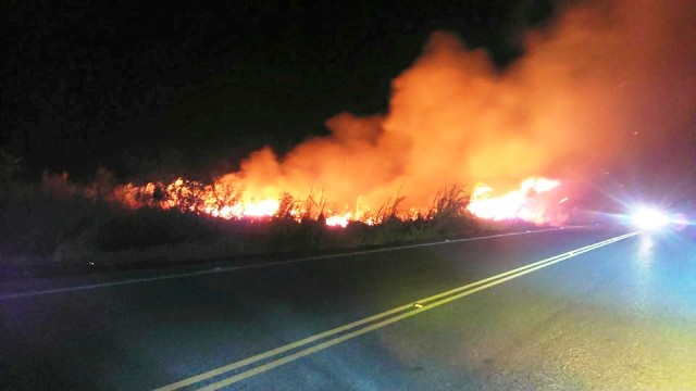 Colosal incendio de cañaverales causo pánico en moradores de Montellano