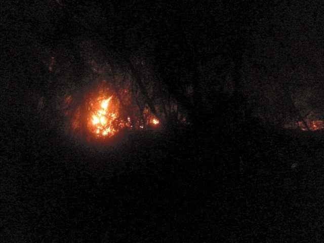 Incendio forestal provocado en la montaña Isabel de Torres consume varios metros de vegetación